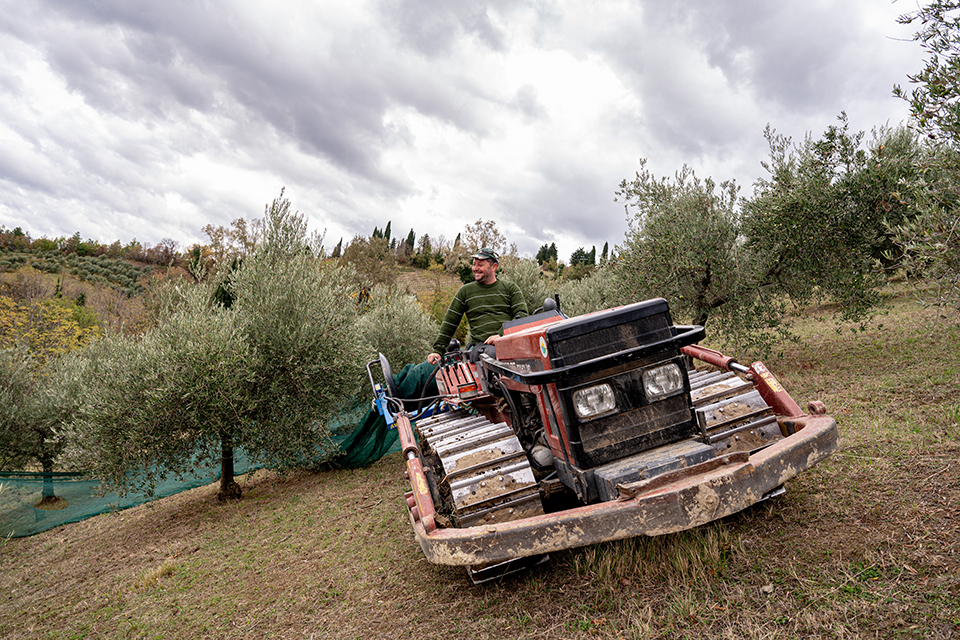 03 FILIPPO MANETTI_OLIVETA_17